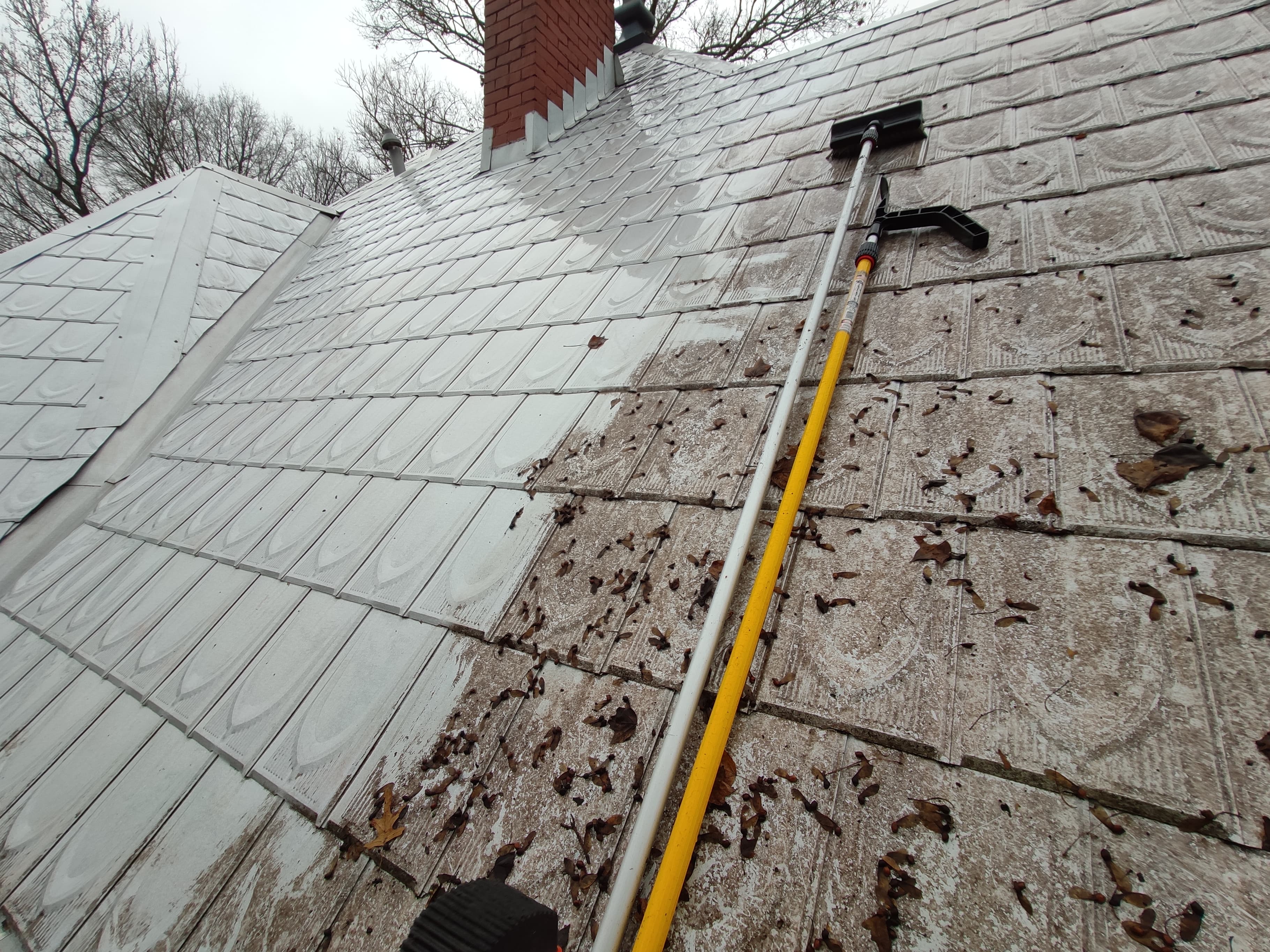 Roof Cleaning Services