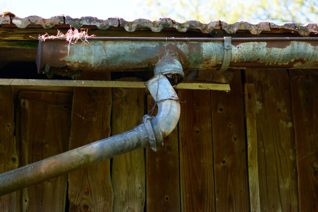 Clogged and damaged gutters.